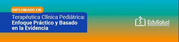 banner web